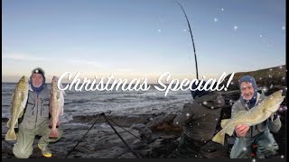 Winter Solstice Cod Bonanza! | Collywell Bay | Northumberland #rockfishing #centuryrods #zziplex