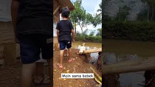 Main sama bebek #shortvideo