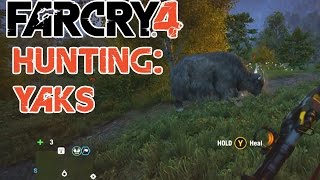 LIVE Far Cry 4 - Hunting Yaks First Encounter (Far Cry 4 Ps4 Gameplay)