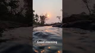 good morning shots video