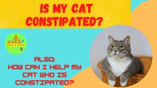 Is my Cat constipated? | How can I help a Cat who is constipated?