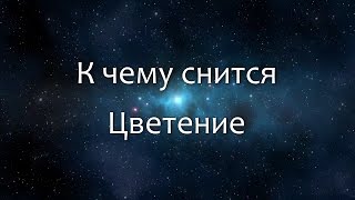 К чему снится Цветение (Сонник, Толкование снов)