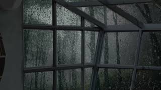 Rainy Afternoon at the Greenhouse Ambience - ASMR Rain Sound for Sleep - Ambient Noise