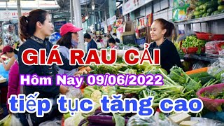 Giá Rau Cải Hôm Nay - Tiếp Tục Tăng Cao @CapNhatThiTruong