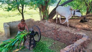 old Toka machine | Punjabi farmer cutting fodder with the help of gear Toka machine | old technology