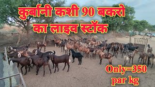 कुर्बानी कशी 90 बकरो का लाइव स्टॉक !! Only=350 par kg #quranrecitation #lowprice #goats #topquality