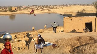 Desert Cholistan lifestyle woman work| old culture Punjab |water toba |pakistan |interviews oldman|