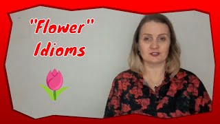 English Idioms | “Flower” Idioms