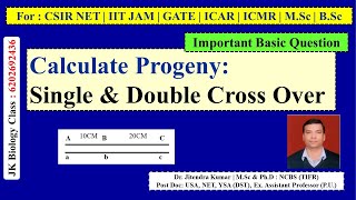 Double Cross Over | Double Cross over Progeny | Calculate Single & Double cross over progeny