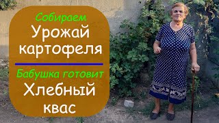 Уборка картофеля \ Бабушка готовит хлебный квас \ Деревенская жизнь