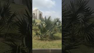 #Bahria town#karachi #palm Tree beautiful look