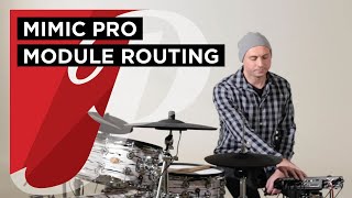 Pearl Mimic Pro Module. Routing