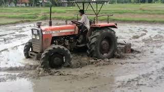 Tafe 5245 four wheel performance in mud..kurunegala  sri lanka../ටැපේ පෝ වීල් ට්‍රැක්ටර්...