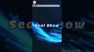 Seal Show #shorts