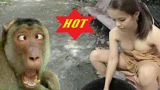 Funny Monkeys TRY NOT TO LAUGH -2017