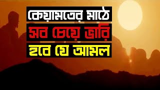 কোন আমাল টি সব চেয়ে ভারি হবে!! অবাক হবেন।