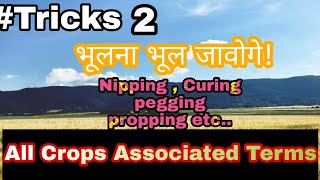 All Crops Associated Terms With Trick |Comedy  In study ||Inbriefagri|ICAR