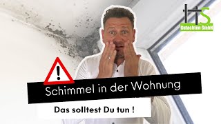 Schimmel in Deiner Wohnung? Das solltest du tun!