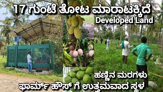 🔴SOLD🔴Developed Farm Land Sale in Channapatna,Near Bengaluru #farmhouse#farmland#agriculture #land