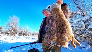 ПОЛЮВАННЯ НА ЗАЙЦЯ, снігу по коліна + морозець...