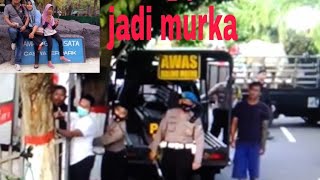 polisi lari pontang-panting diseruduk sapi