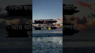 বিশ্বাস ছাড়া ভালোবাসা অর্থ হিন #tiktok