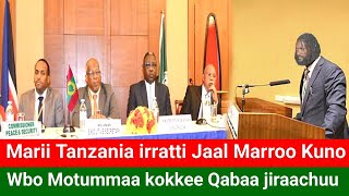 Marroon baayee aare, Abiyyi Tanzaniyaa demuuf, Bedelleetti namni dhume,#oromo #ethiopa #oromia #obn