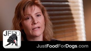 The Specialists: JustFoodForDogs Vet Support Diets | JustFoodForDogs