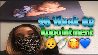 20 Week Pregnancy Vlog | Morphology Ultrasound | Gender Reveal | MakeupShae