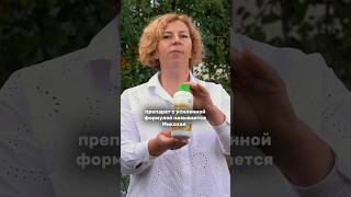 Добавьте это во влагозарядный полив для успешной перезимовки сада🌳 #дача #огород #урожай #сад