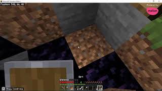 Minecraft Speed Run Stream