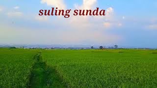 suling sunda pengantar tidur !! pemandangan yg menyejukan #suasanapedesaan#sulingsunda  #suasanapagi