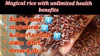 🍎 #11, Which rice is best? || Poongar rice || ಪೂಂಗಾರ್ ಅಕ್ಕಿ || ancient women rice of Tamilnadu