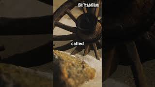 The Wheel Changed The Stone Ages  #kids #world  #history #kidsvideo #shorts