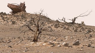 NASA's Mars Perseverance Rover Sends New 4k Video of Mars - Sol 1154 | Mars 4k Video | Mars In 4k