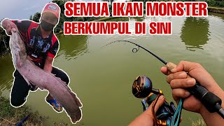 KOBA (Kolam Baginda) || Keseronokan Menarik Ikan Keli Mega