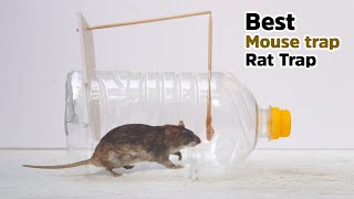 Rat trap / Mouse trap | Rat trap Homemade | Homemade mouse trap Mice traps