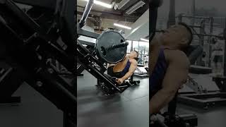 plate loaded leg press 2