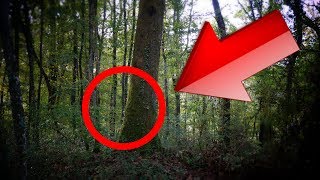 JE SURPRENDS UN CLOWN TUEUR DANS LA FORÊT [Zkayio Parodie]