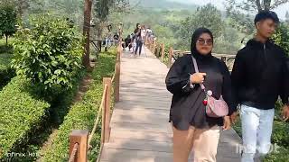 gunung mas_tea hill puncak bogor