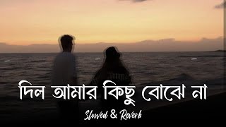 Dil Amar kichu Bojena | দিল আমার কিছু বোঝে না | Slowed & Reverb | Tanjib Sarowar & Helen