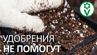 ЭТИ УДОБРЕНИЯ НЕСОВМЕСТИМЫ! Минеральные удобрения и дефицит элементов питания