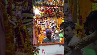 Jagannath Rath Yatra 2024 | Jagannath Rath Yatra | Jai Jagannath