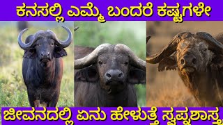 ಕನಸಲ್ಲಿ ಎಮ್ಮೆ ಬಂದರೆ | Dream of buffalo