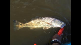 UGLY STIK GX2 VS REDFISH ON OAK ISLAND NC