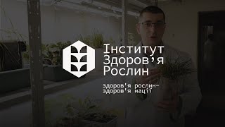 Весняні дослідження для озимих культур