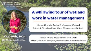 W3 Seminar: A Whirlwind tour of wetland work in water management