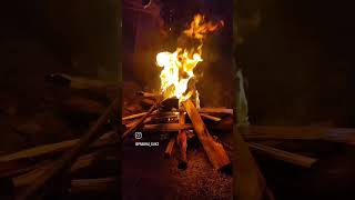 #raayan #fire #slowmotion #campfire #kodaikanal #shortsvideo #shortsfeed #shortsviral #shorts