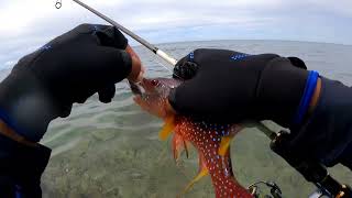 ultralight fishing dispot karang dangkal