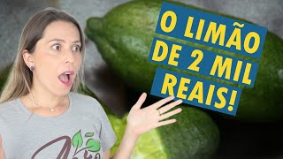 Conheça o LIMÃO CAVIAR e o LIMÃO DOCE | Frutas exóticas e surpreendentes